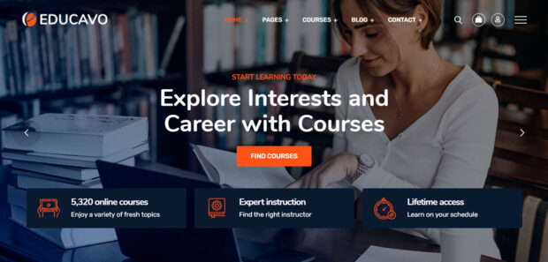 Diseño de Páginas Webs Cursos Online 004