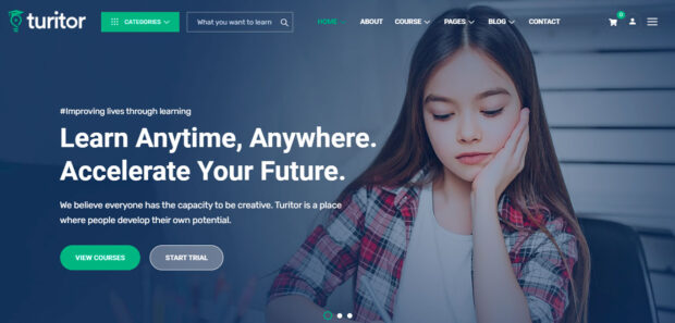 Diseño de Páginas Webs Cursos Online 007